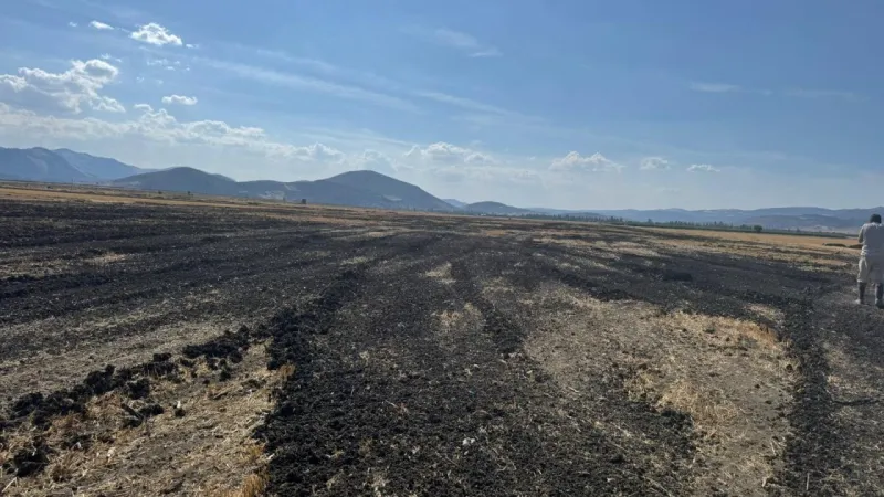 26 kamyon dolusu arıtma çamurunu açık araziye döktüler