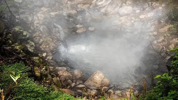 NASA'dan Şok Keşif! Volkanlar Patlamadan Önce Ağaçlar Ne Yapıyor?