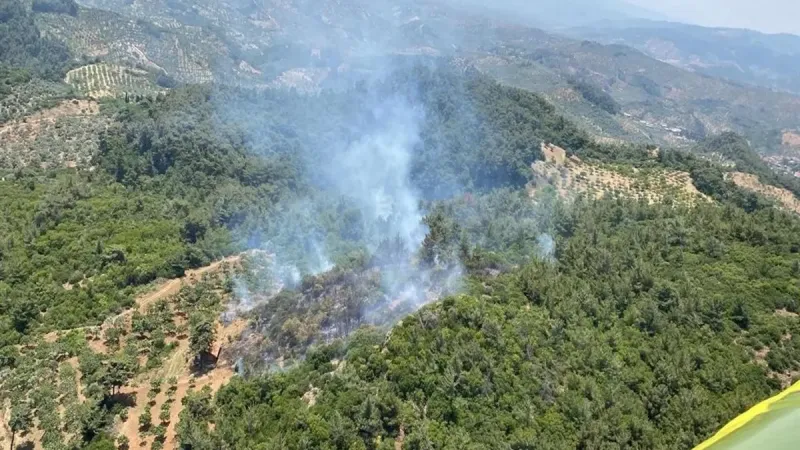 Aydın'da orman yangını! Alevlere müdahale sürüyor