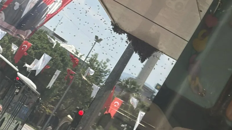 Denizli'yi arılar bastı: Esnaf kepenk kapattı!