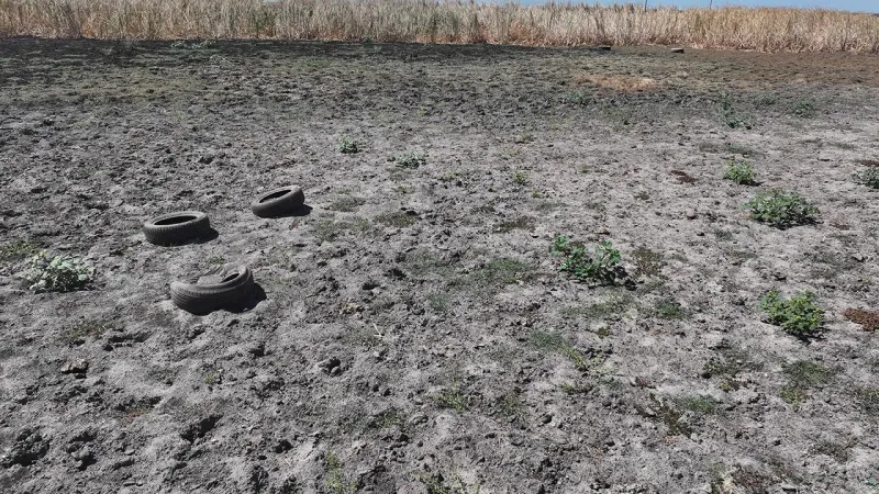 Edirne'deki Yağcılı Göleti tamamen kurudu