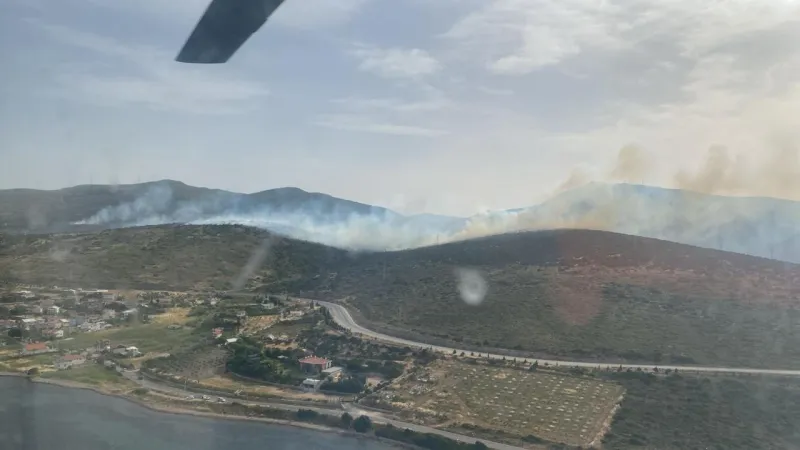İzmir'de orman yangını