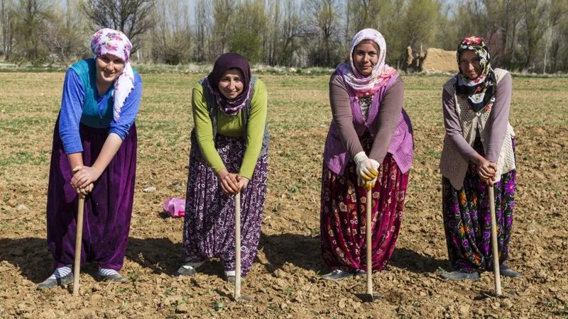 Köye üniversite geliyor, kırsalda yeni kalkınma modeli
