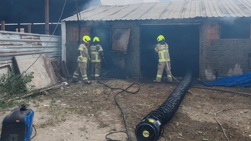 Ahır Yangını: 42 Can Kaybı! Balıkesir'de Korkunç Facia