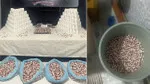 Çöp Kovasında Uyuşturucu! İzmir'de Neler Oluyor? Şok Baskın!