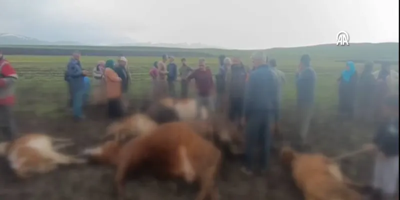 Kars'ta Yıldırım Faciası: Çobanlar Yaralı, Hayvanlar Öldü!