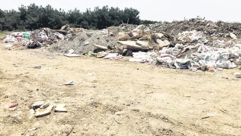Orman Katliamı Alarmı! Gaziemir'de Çevre Felaketi Mi Yaşanıyor?