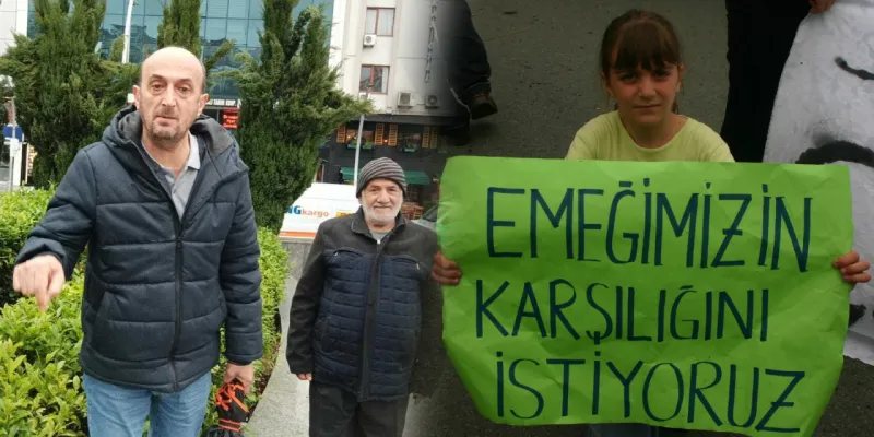 Rize'de Çay Kazanında Öfke Kaynıyor! Erdoğan'a Halktan Şok Tepki