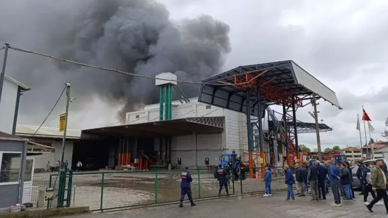 Sakarya'da Fındık Fabrikasında Korkunç Yangın! Alevler Yükseliyor