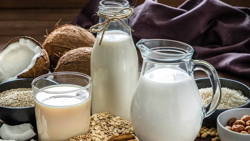 Bitkisel Sütler: Veganların Gözdesi mi, Yoksa Daha Fazlası mı?