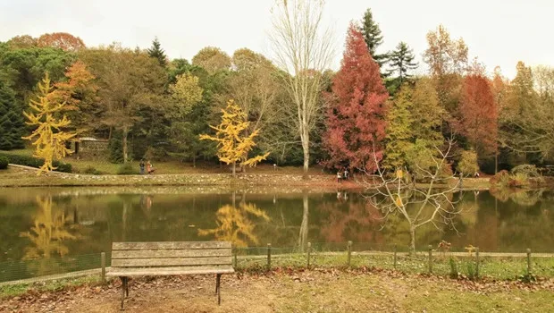 İstanbul'da Saklı Cennet: Atatürk Arboretumu Sonbahar Masalı!